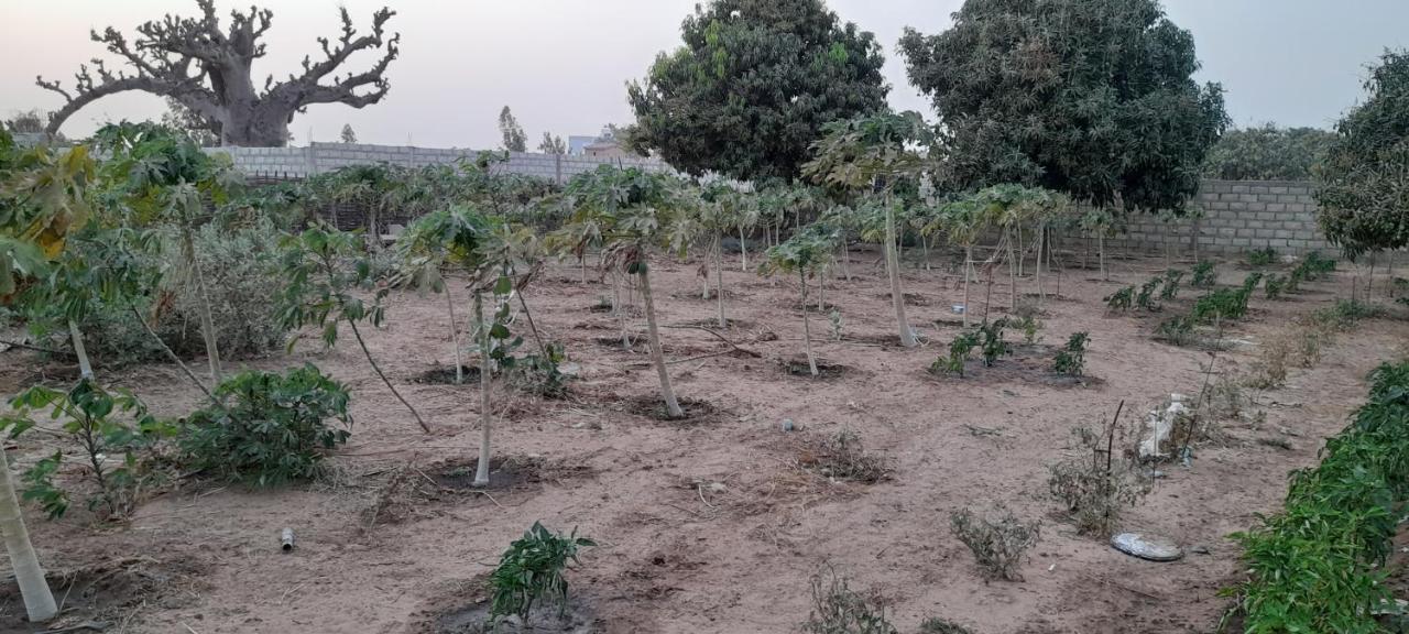 Saly Lrad Le Village Ngaring المظهر الخارجي الصورة