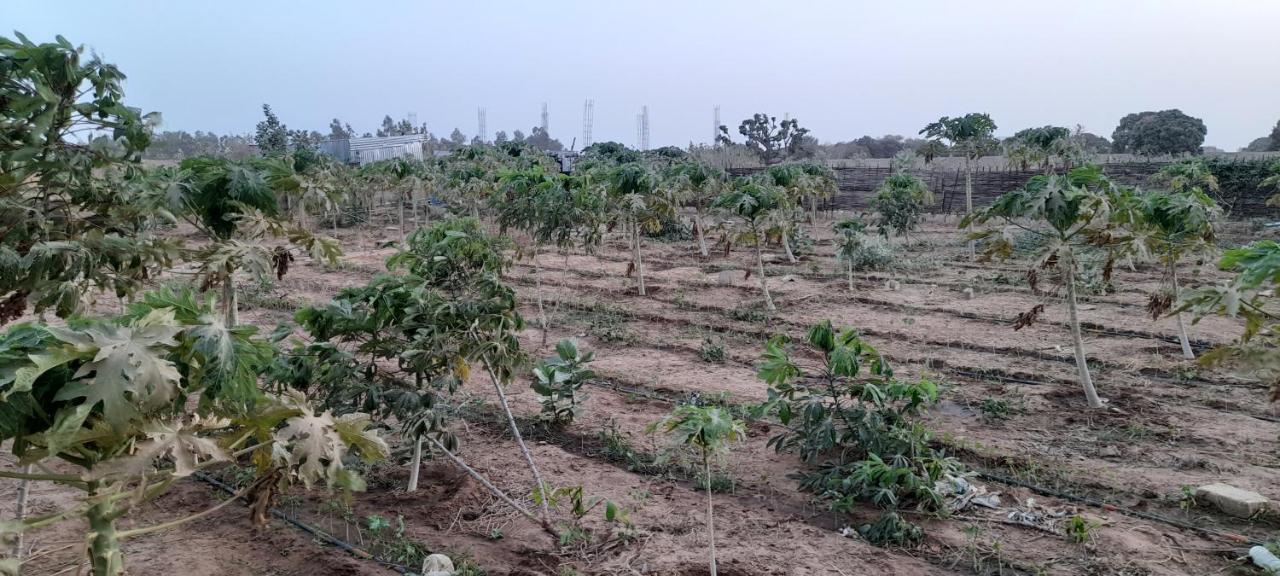 Saly Lrad Le Village Ngaring المظهر الخارجي الصورة