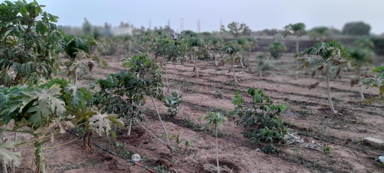 Saly Lrad Le Village Ngaring المظهر الخارجي الصورة